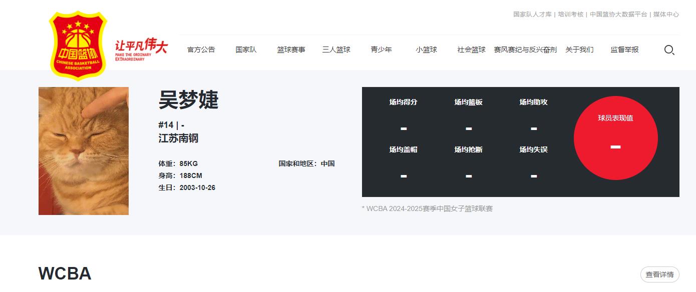 搞错？WCBA球员官网头像变成一只猫